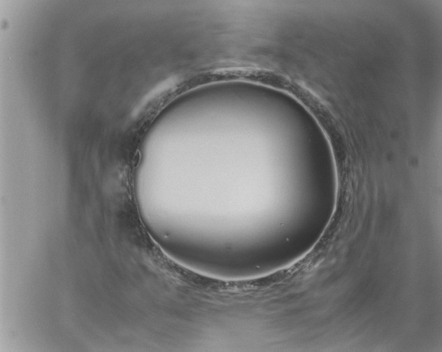 X0000060781351200511241809