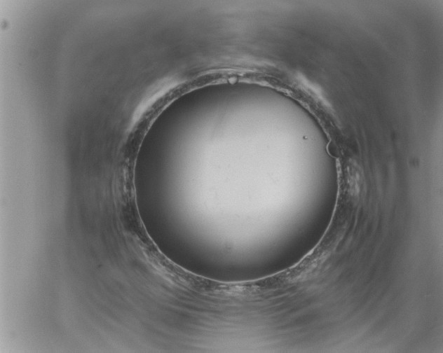 X0000060781352200511241809