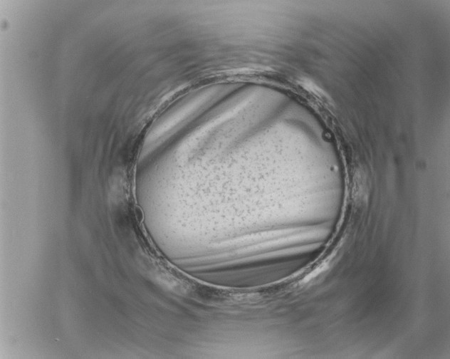 X0000060781353200511241809