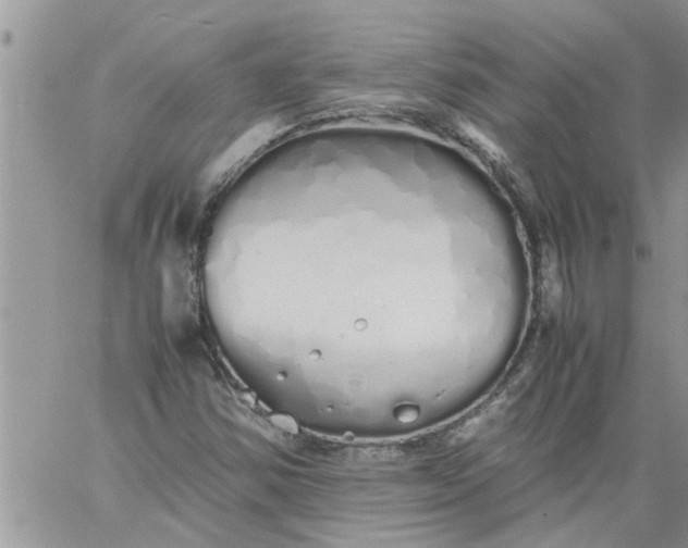 X0000060781354200511241809