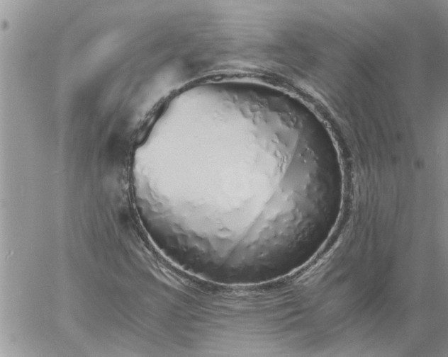 X0000060781355200511241809