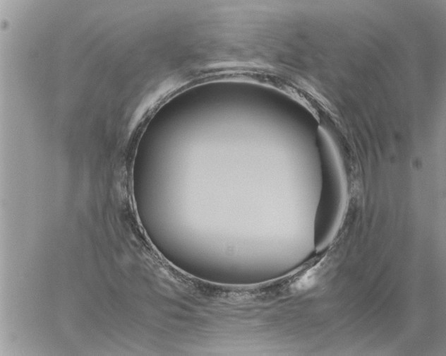 X0000060781357200511241809