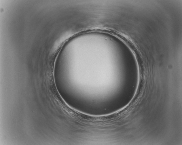 X0000060781359200511241809