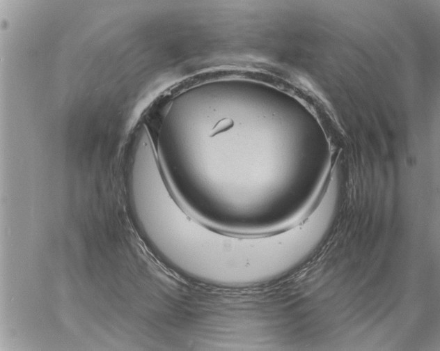 X0000060781360200511241809