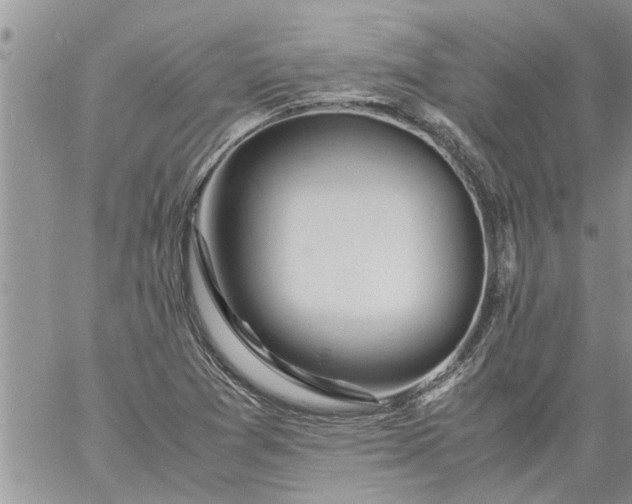 X0000060781361200511241809