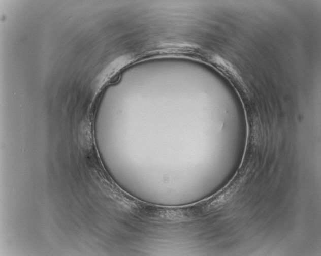 X0000060781362200511241809