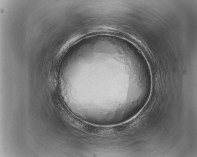 X0000060781363200511241809