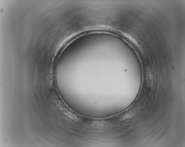 X0000060781364200511241809