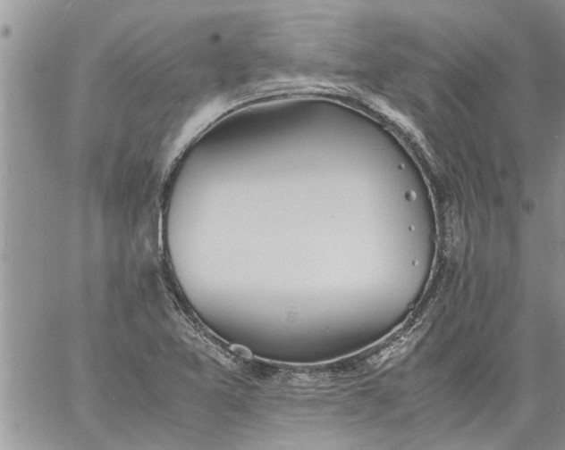 X0000060781365200511241809