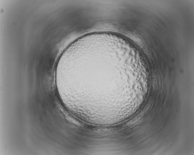 X0000060781366200511241809