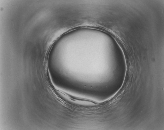 X0000060781367200511241809