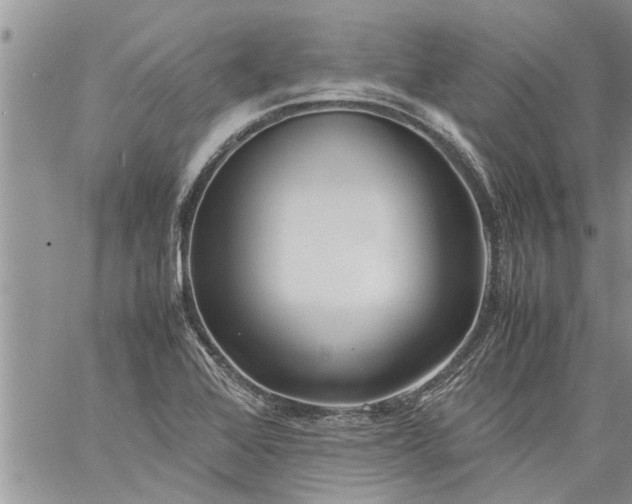 X0000060781368200511241809