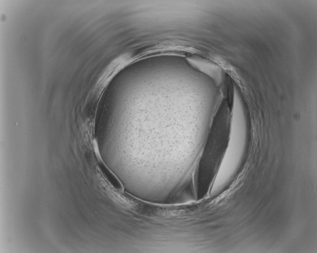 X0000060781369200511241809