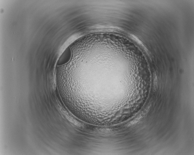 X0000060781370200511241809