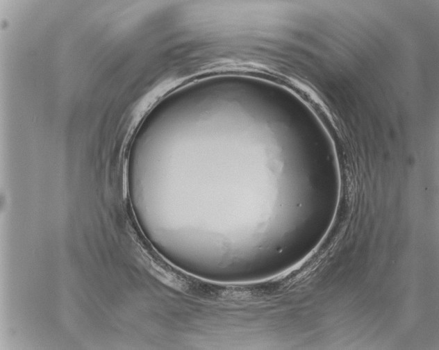 X0000060781371200511241809