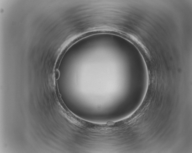 X0000060781372200511241808