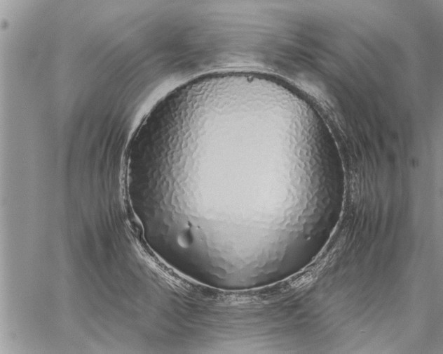 X0000060781374200511241808