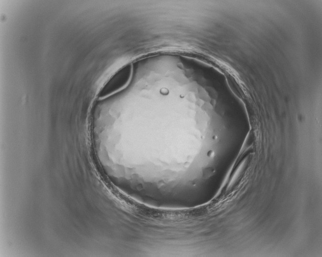 X0000060781375200511241808