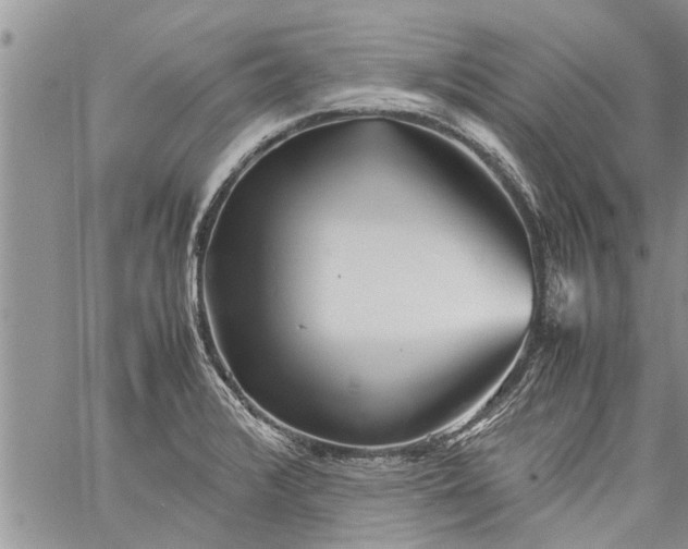 X0000060781376200511241808