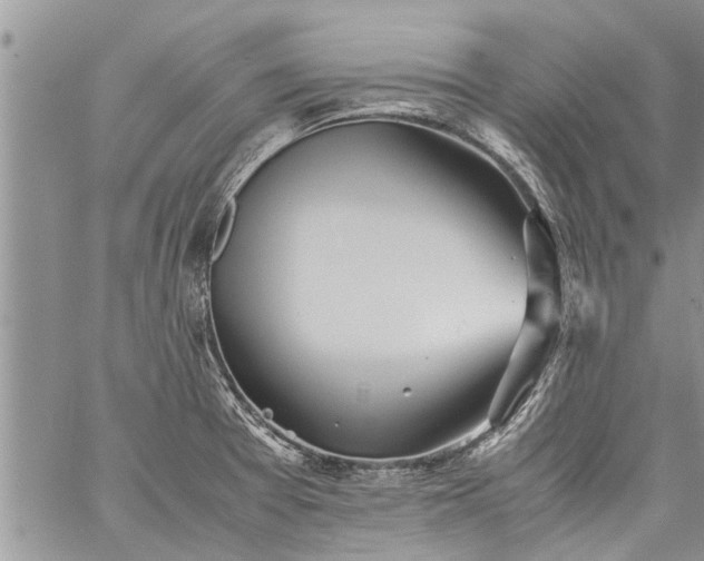 X0000060781377200511241808