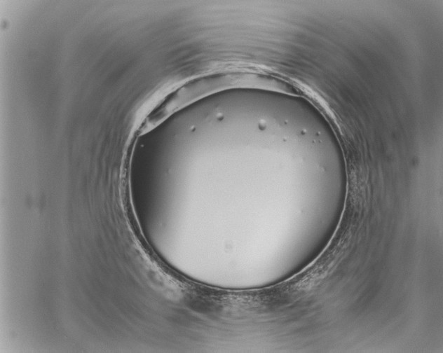 X0000060781379200511241808