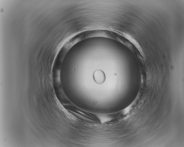 X0000060781380200511241808