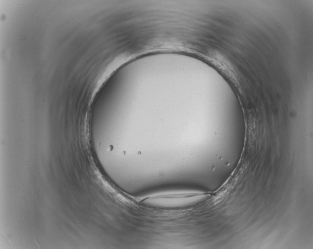 X0000060781382200511241808