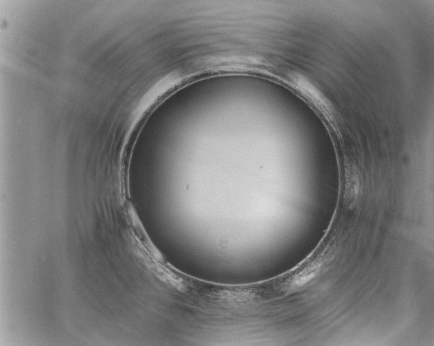 X0000060781384200511241808