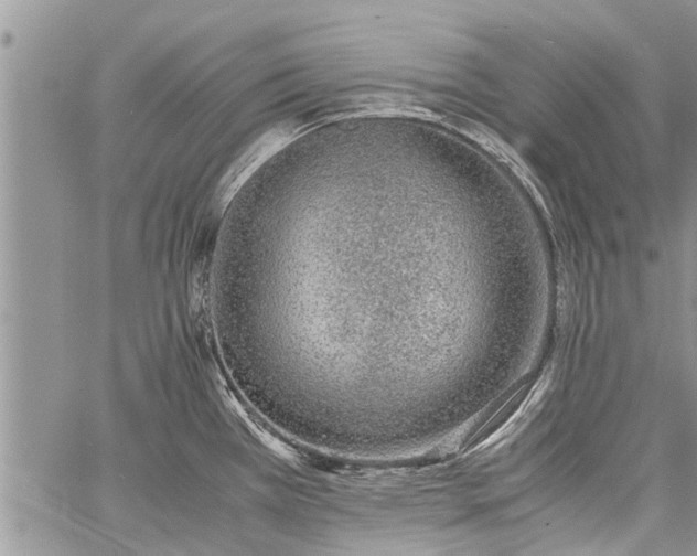 X0000060781385200511241808