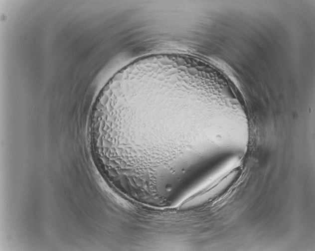 X0000060781387200511241808