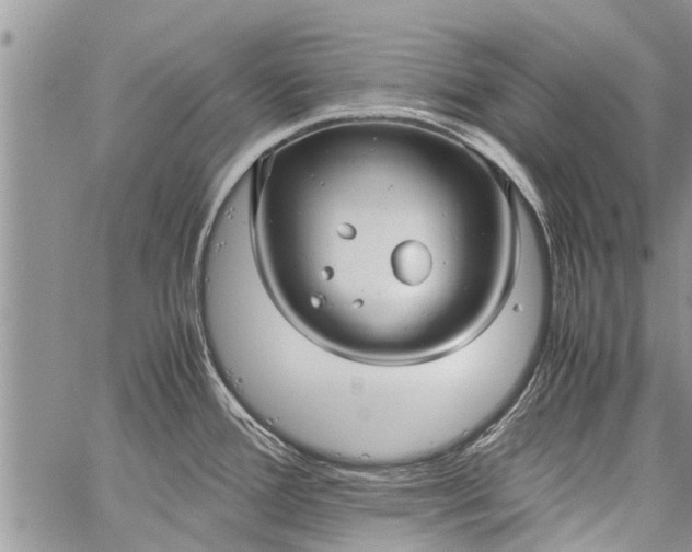 X0000060781388200511241808