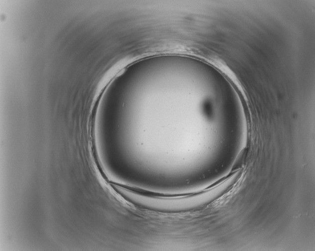 X0000060781389200511241808