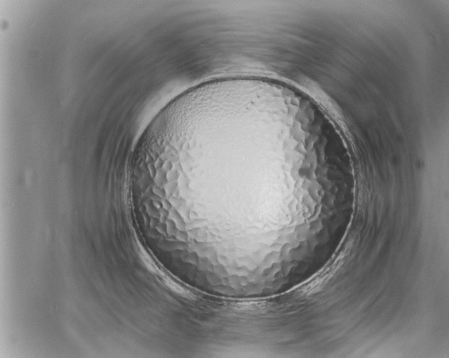 X0000060781390200511241808