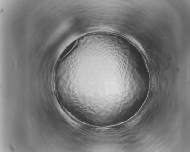 X0000060781391200511241808