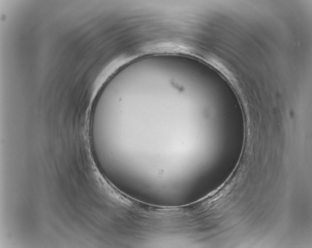 X0000060781392200511241808