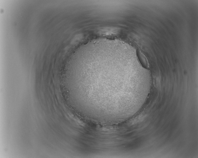 X0000060781393200511241807