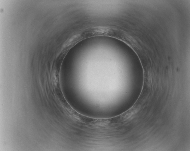 X0000060781394200511241807