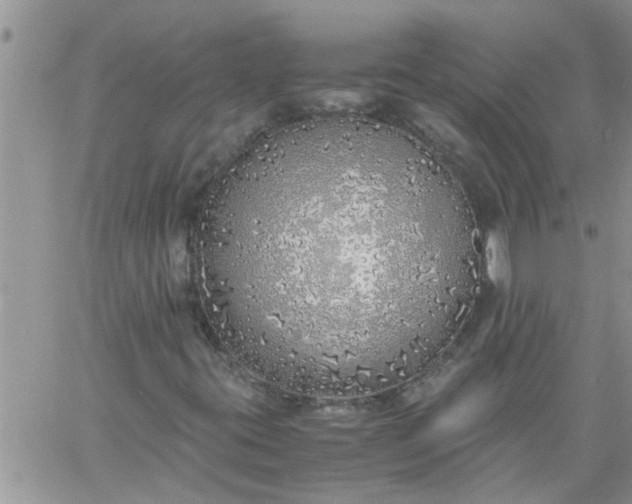 X0000060781395200511241807