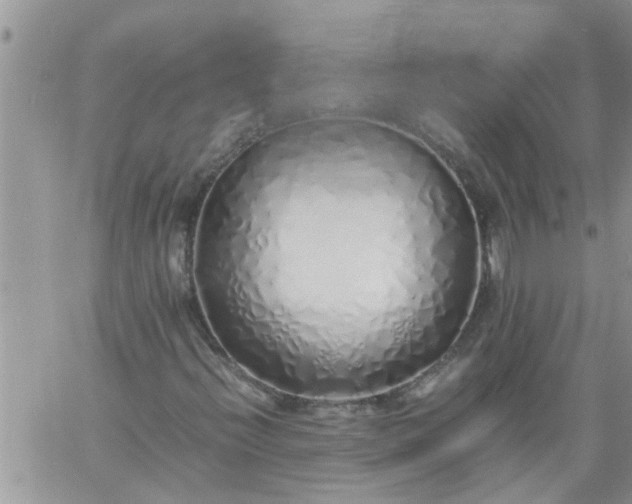 X0000060781396200511241807