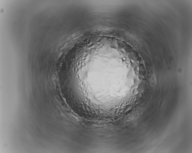 X0000060781397200511241807