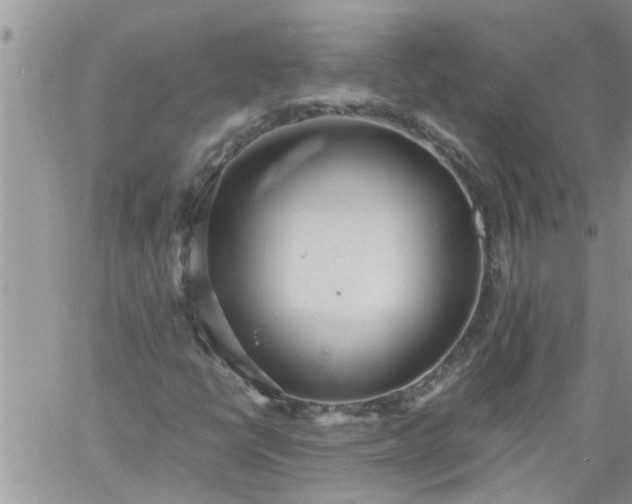 X0000060781398200511241807