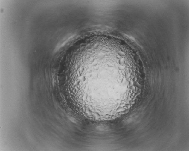 X0000060781399200511241807