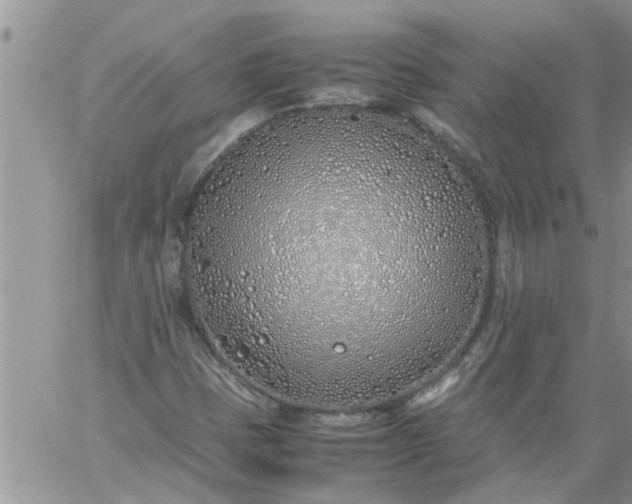 X0000060781401200511241807