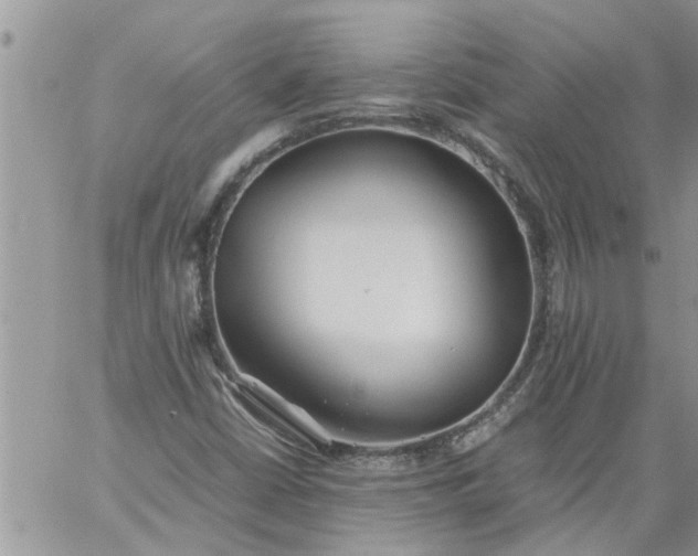 X0000060781402200511241807