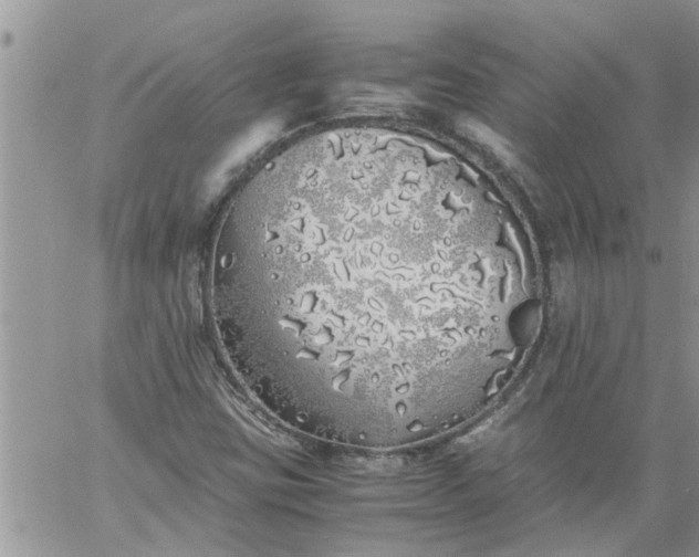 X0000060781403200511241808