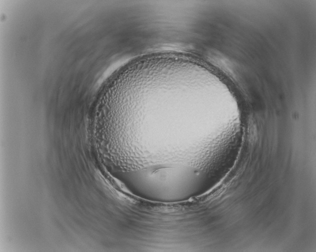 X0000060781404200511241808