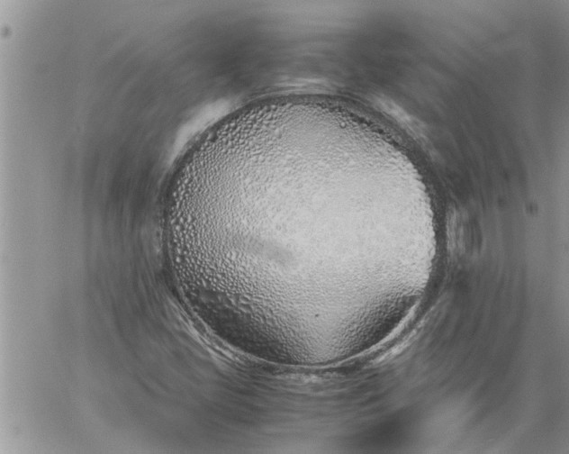 X0000060781405200511241808