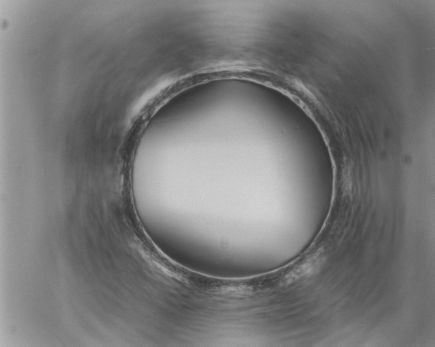 X0000060781406200511241808