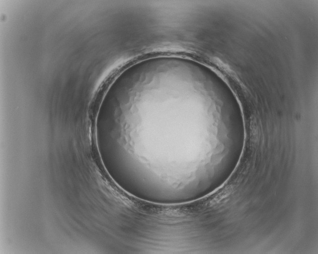 X0000060781408200511241808