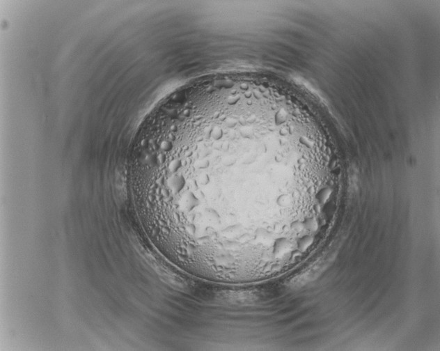 X0000060781409200511241808